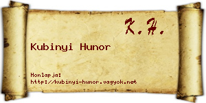 Kubinyi Hunor névjegykártya
